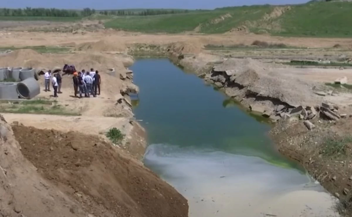 شۇڭقىرعا قۇلاعان بالانىڭ ولىمىنە كىنالى شەنەۋنىكتەر جازالاندى