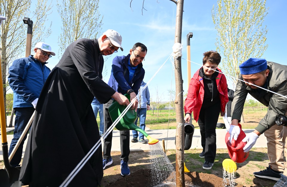 بەيبىتشىلىك جانە كەلىسىم ساياباعىندا اعاش ەگىلدى