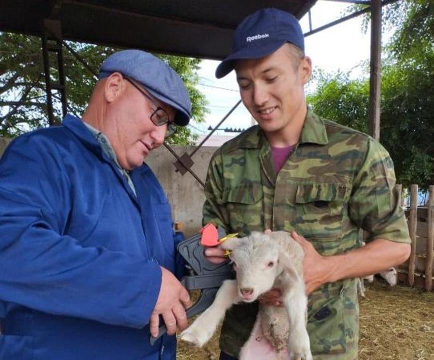 جەتىسۋدا ۆەتەرينارلىق نىساندار تاپشىلىعى جويىلادى