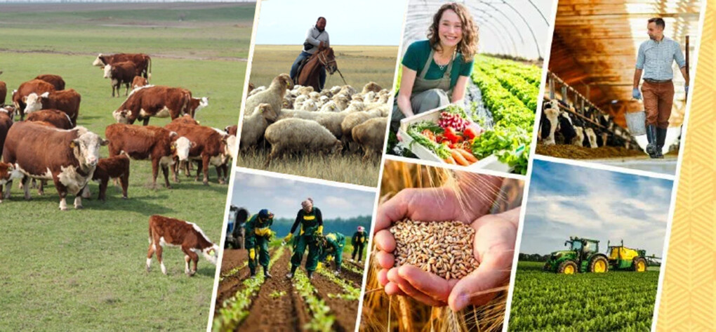 دەپۋتات «اۋىل اماناتى» باعدارلاماسىنىڭ تيىمدىلىگىن ارتتىرۋدى ۇسىندى