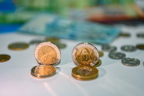 ساراپشىلار تەڭگەنىڭ قۇنسىزداناتىنىن ەسكەرتتى