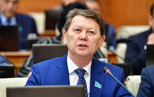 باسپاناعا بەرىلەتىن سۋبسيديانى قايتا قاراۋ ۇسىنىلدى