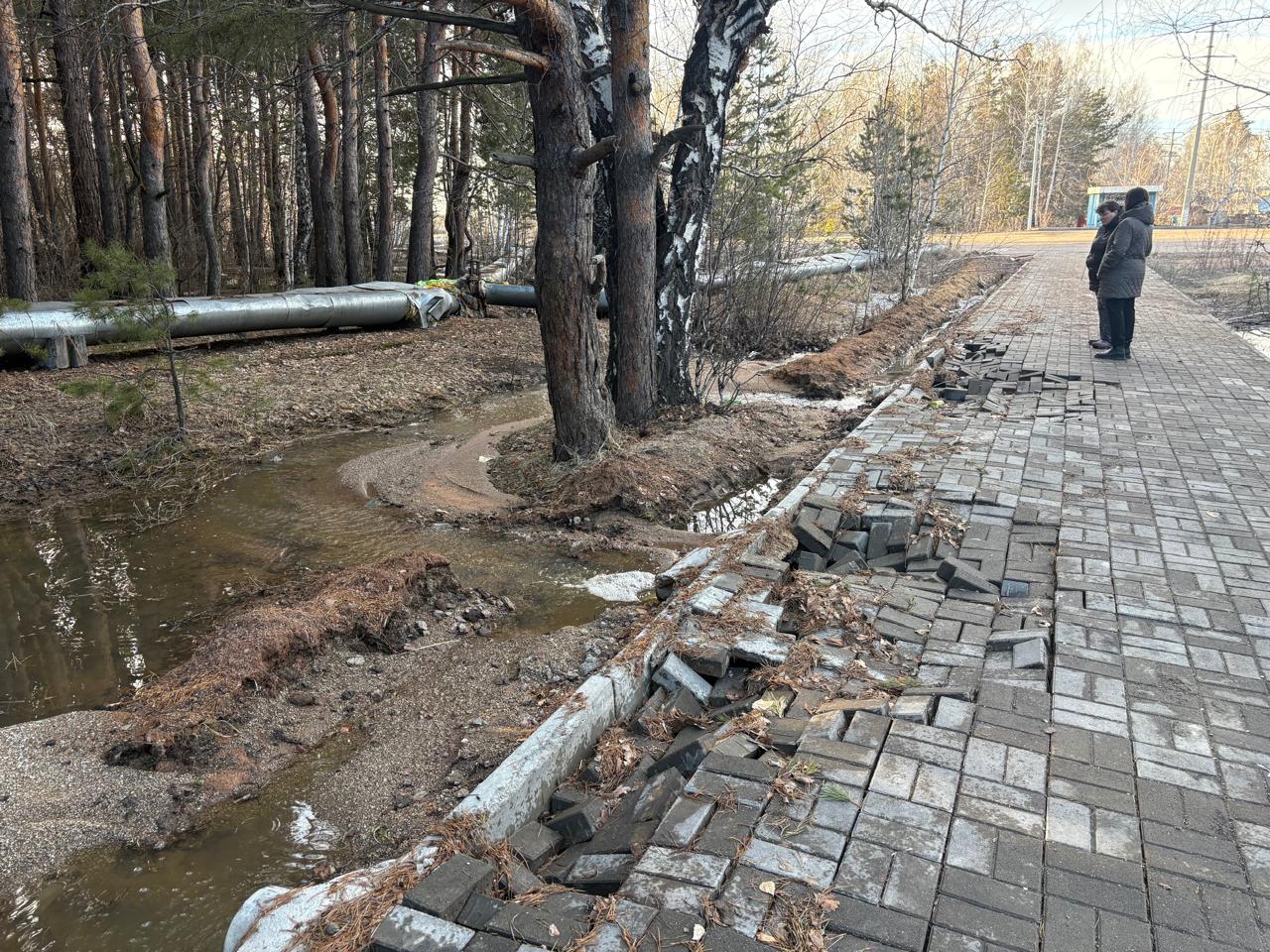 ساعى سىنعان ساياباق