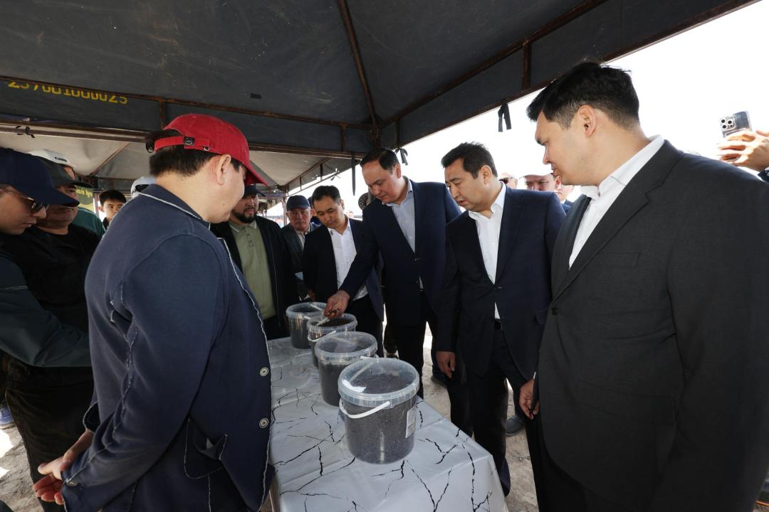 اۋىل شارۋاشىلىعىن دامىتۋدىڭ العىشارتى