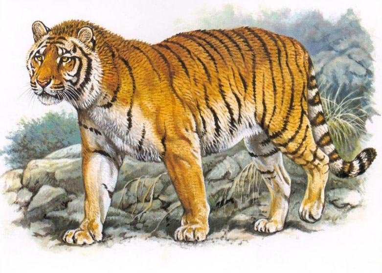 تۇران جولبارىستارىن قونىستاندىرۋعا 1 ملرد تەڭگە كەرەك