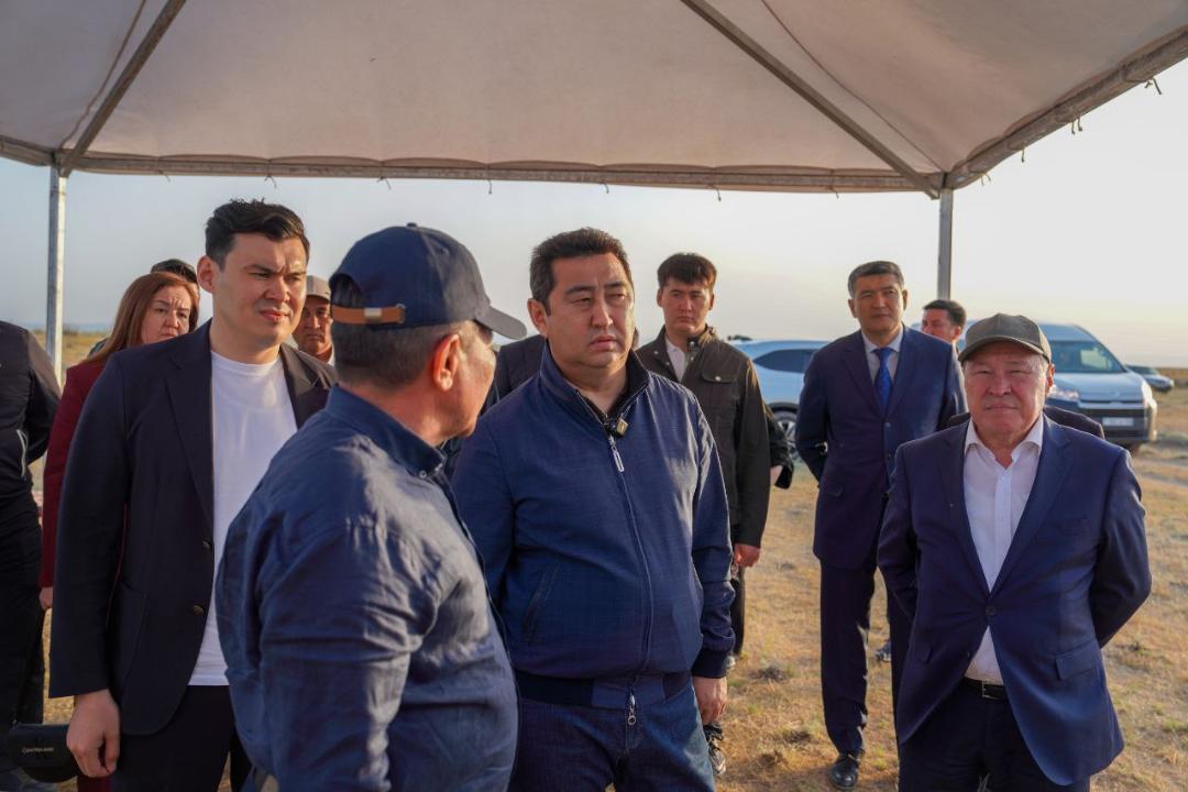 جامبىل وبلىسىندا شەگىرتكەگە قارسى وڭدەۋ ءجۇرىپ جاتىر