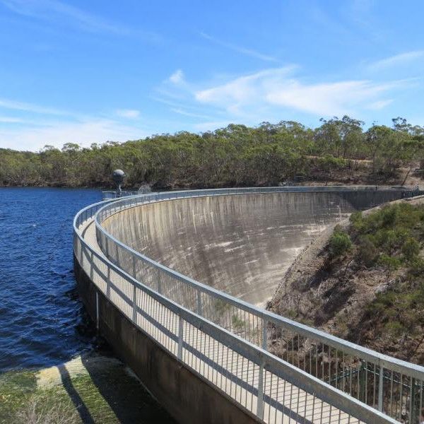 «سىبىرلايتىن قابىرعا»