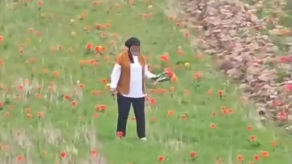 گرەيگ قىزعالداعىن جۇلعان شىمكەنتتىك ايەلدىڭ جازاسى قانداي بولادى؟