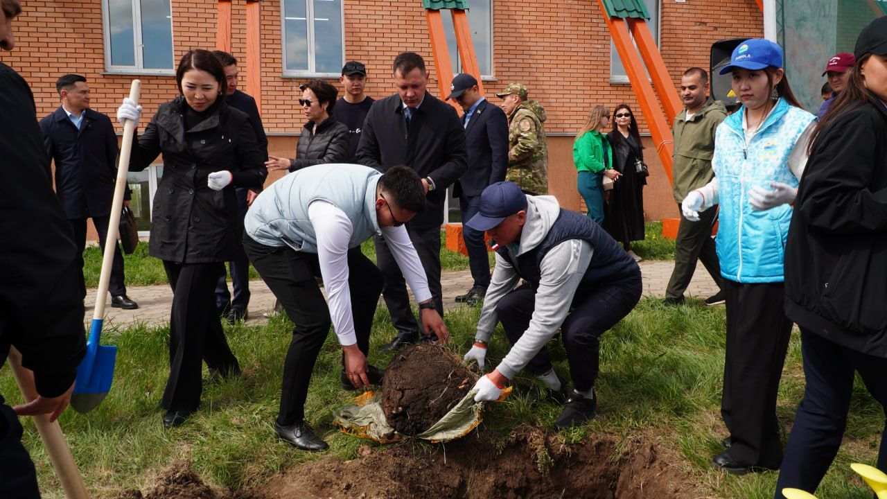 كوكشەتاۋ كوركەيىپ كەلەدى