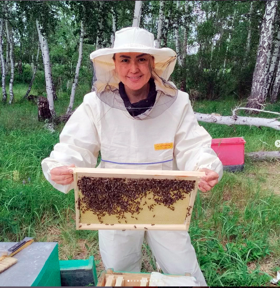 اعزاعا پايدالى تازا بال