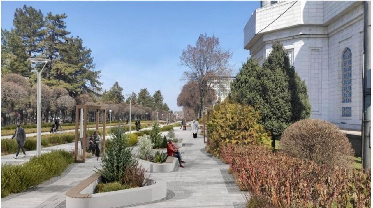 الماتىدا  ەكى مىڭنان استام ءىرى اعاش وتىرعىزىلعان