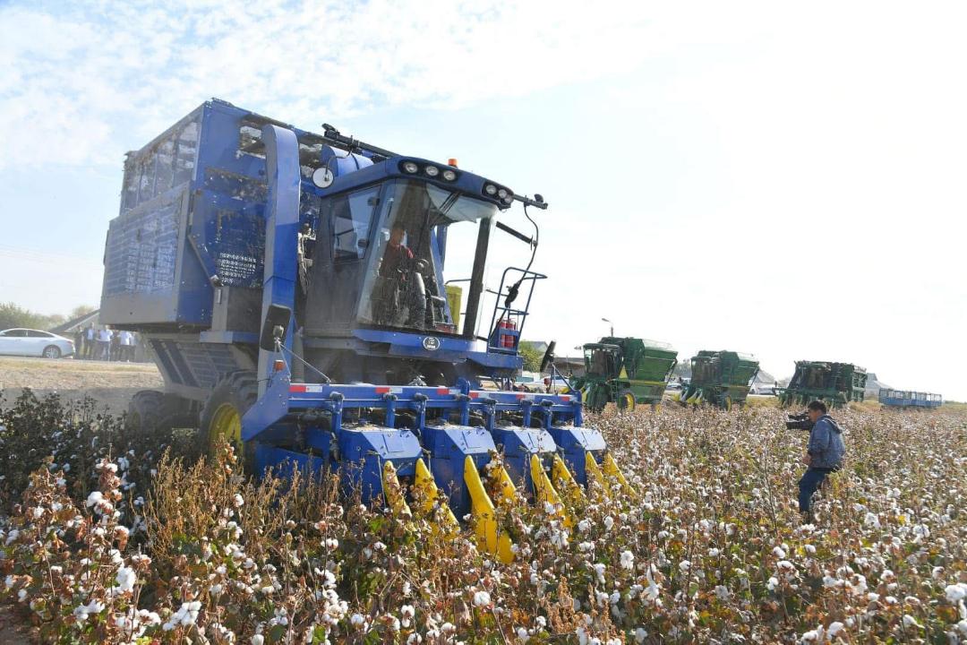 ماقتا  شارۋاشىلىعىندا 70 مىڭ ادام ەڭبەك ەتىپ ءجۇر