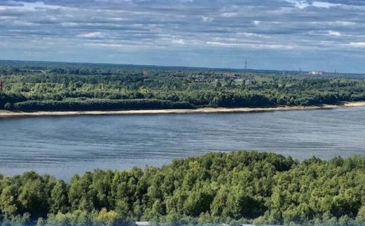 شانداقسور سۋ قويماسىندا بالىق قىرىلىپ جاتىر