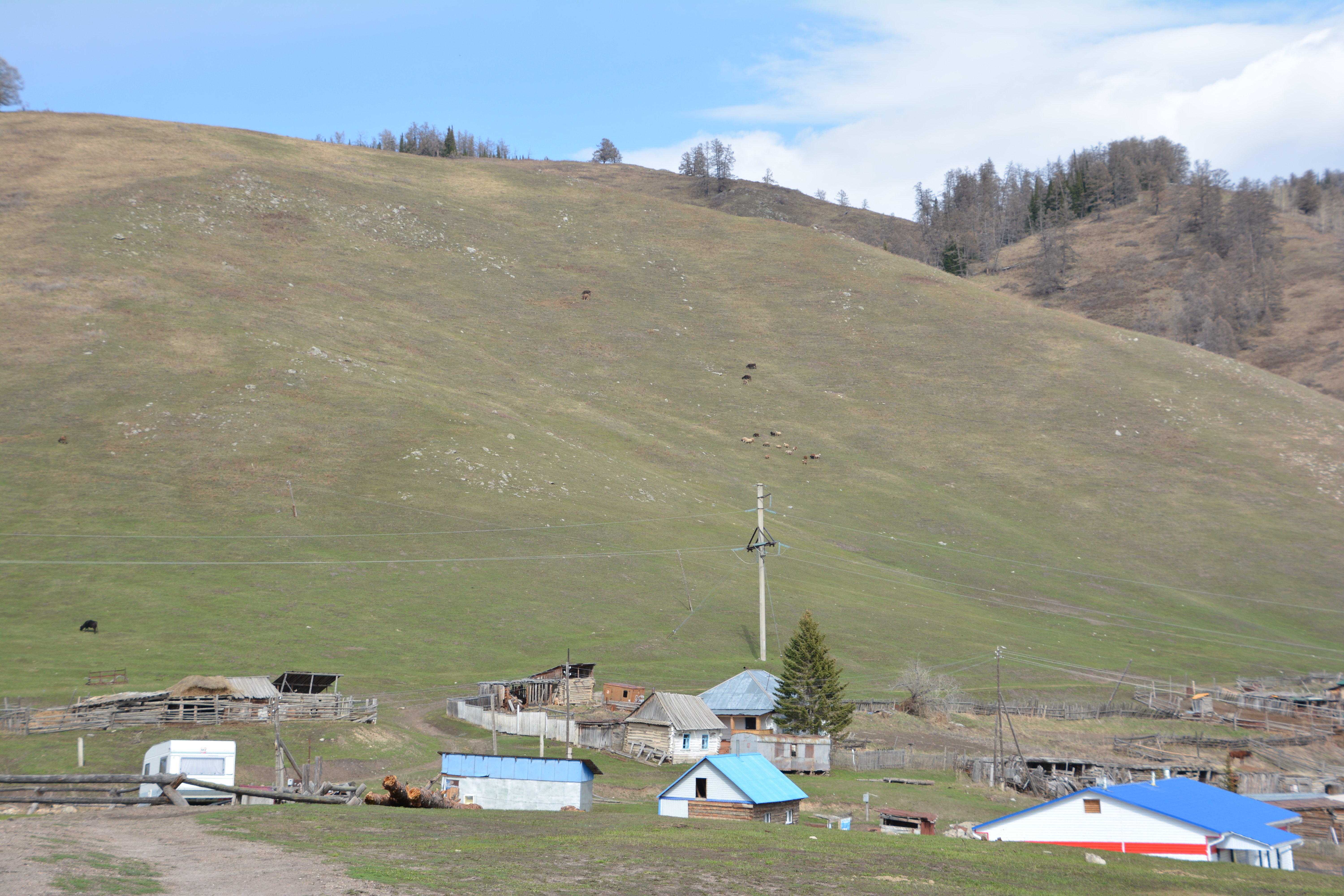 شەكارا ماڭىنداعى اۋداندار دامىپ كەلەدى