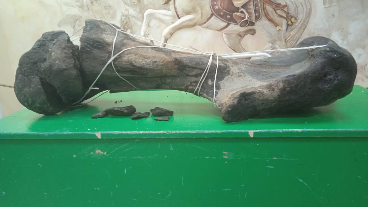 الىپ جانۋاردىڭ اسىق جىلىگى تابىلدى