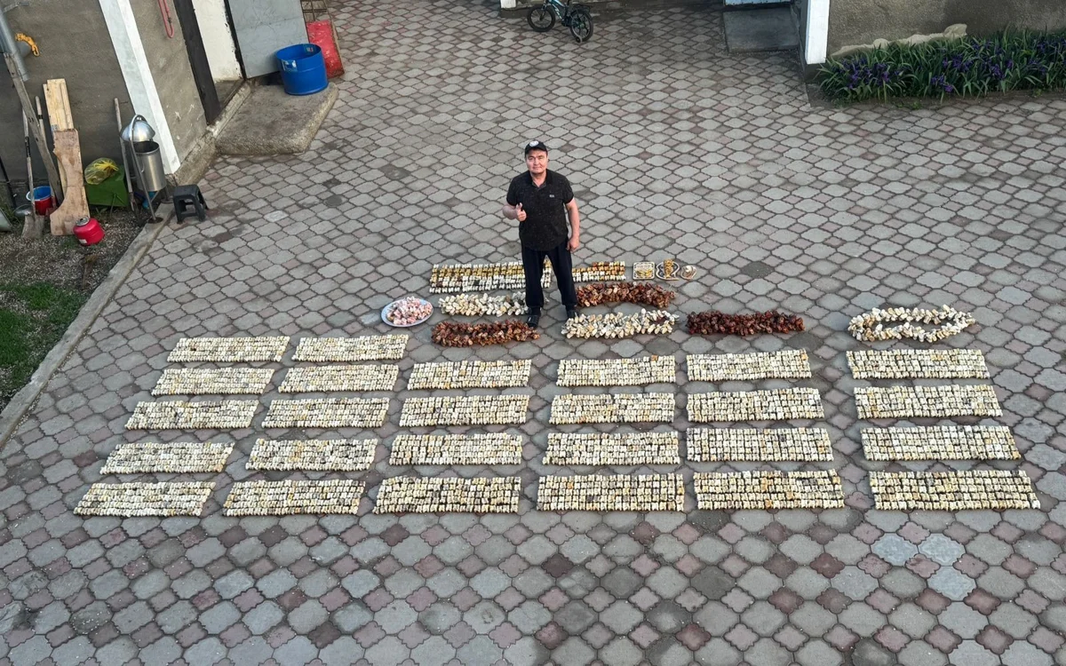 3 مىڭنان استام توپاي اسىق جيناعان اقتوبەلىك قازاقستان رەكوردتتار كىتابىنا ەندى