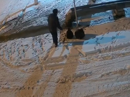 قىزىلوردادا ەكولوگيالىق قۇقىق بۇزۋشىلىقتى تىركەيتىن بەينەكامەرالار سانى ارتادى