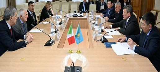 پەتروپاۆلدا مال ازىعىنىڭ اشىتقىسى زاۋىتى سالىنادى