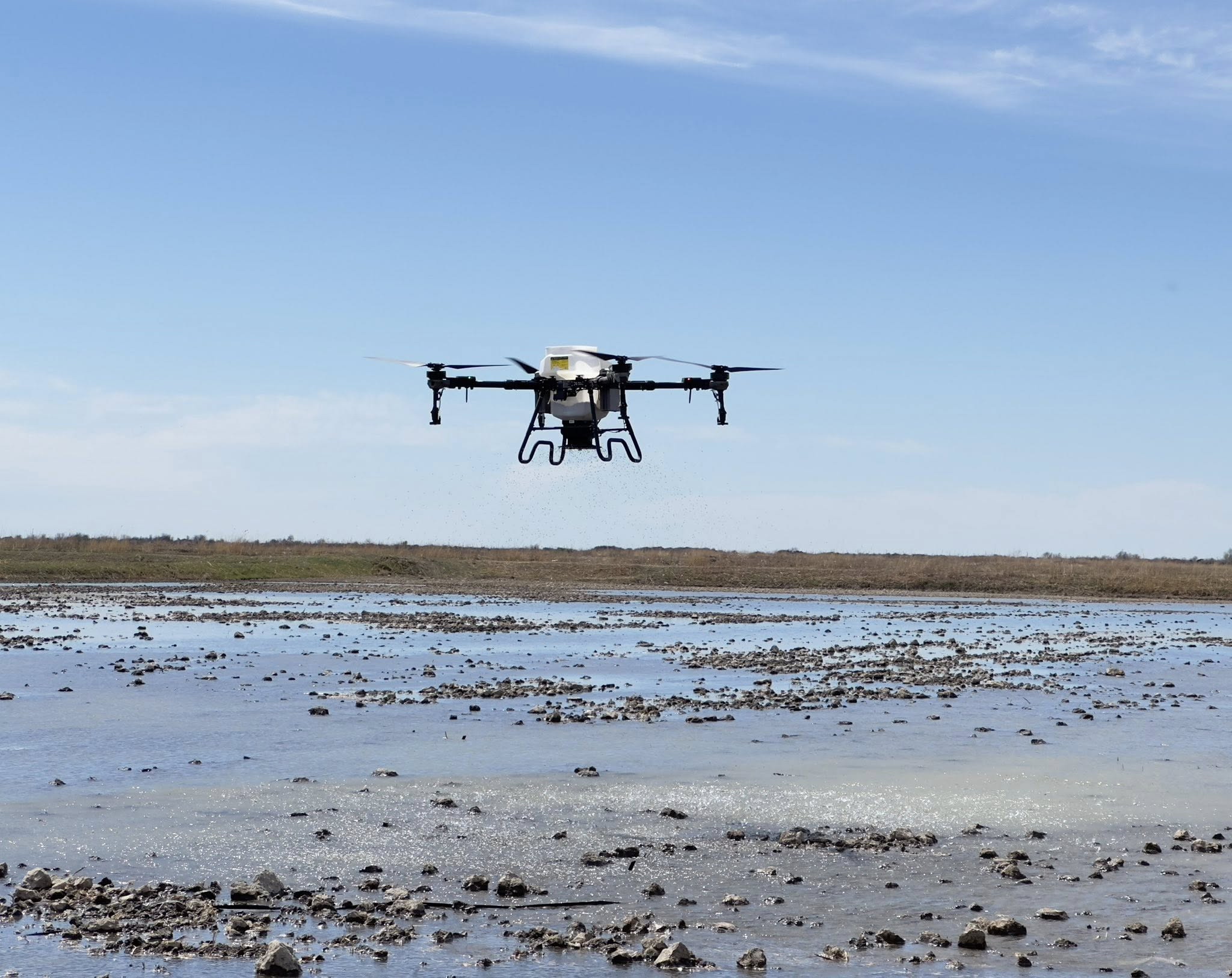 شەگىرتكەمەن كۇرەستى جاڭا تەحنيكا شيراتادى