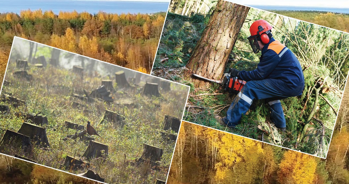 ورمان قورىنا قول سۇعۋ تىيىلماي تۇر