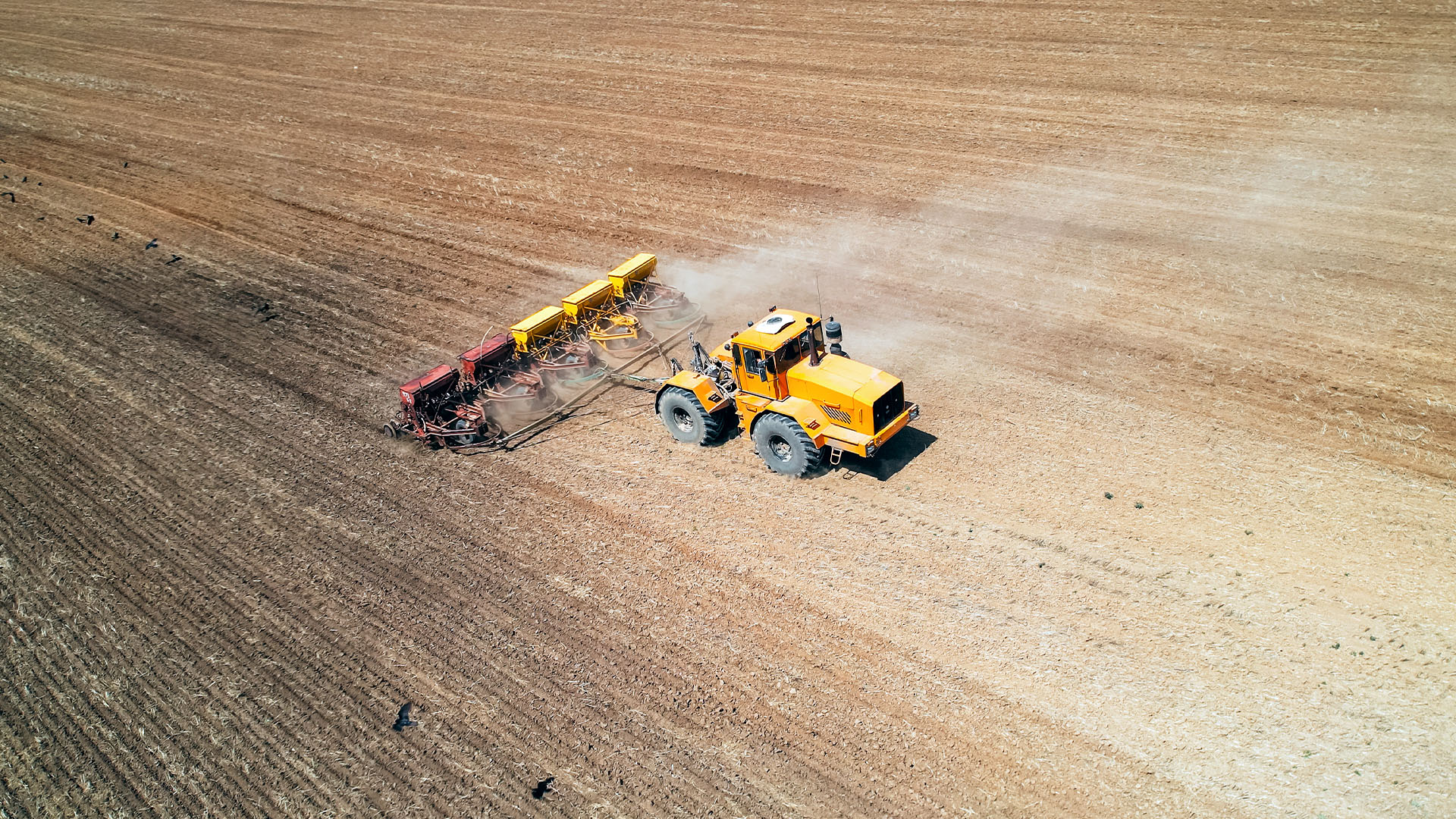 ەگىس ناۋقانىنا كەدەرگى بولماۋعا ءتيىس