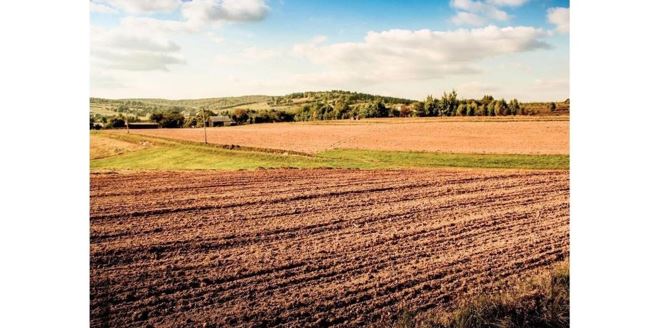 اقتوبە وبلىسىندا 1200 گەكتار جەر مەملەكەتكە قايتارىلدى