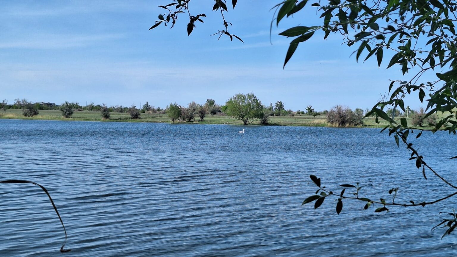 كوكتى اڭساعان جارالى اققۋ