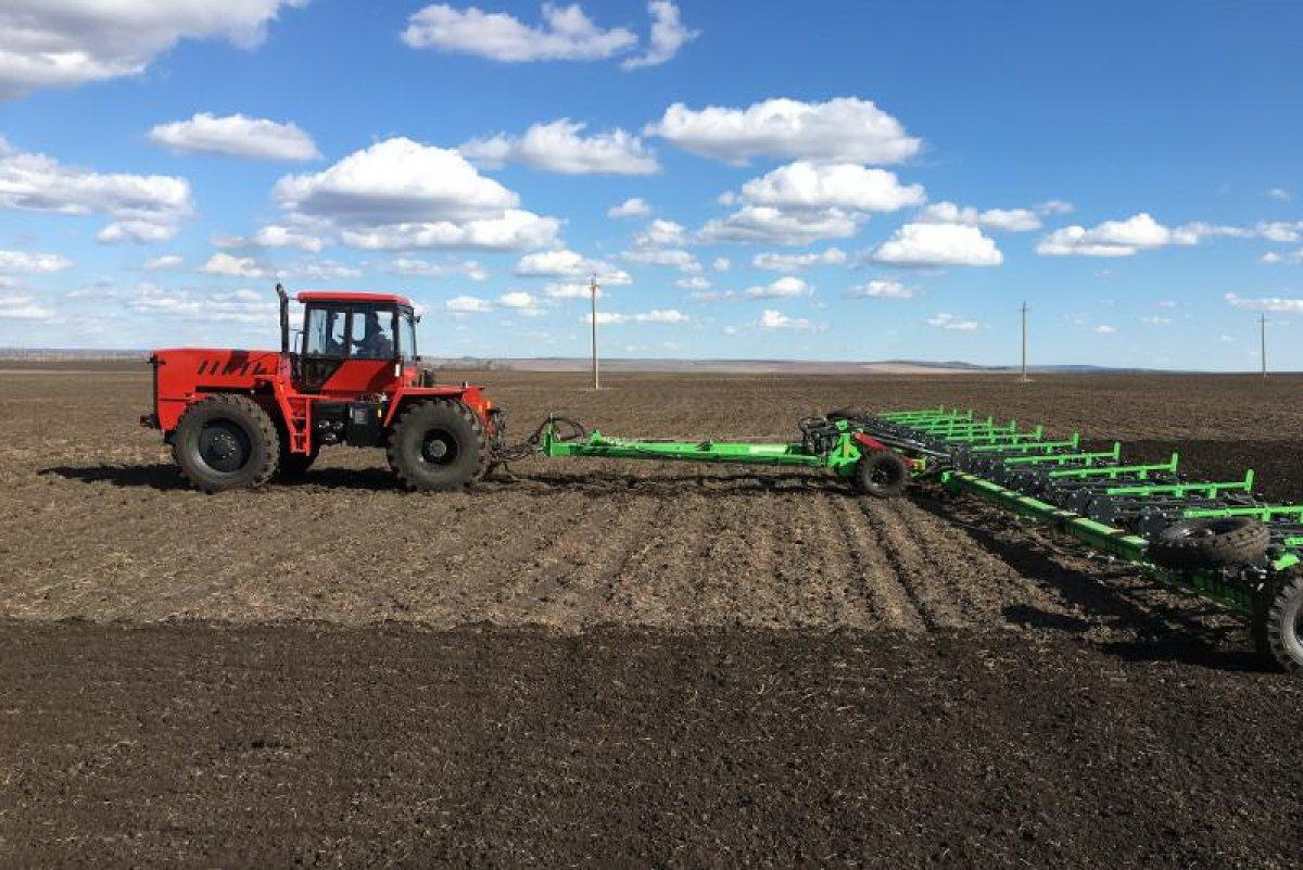 شارۋا القاپقا شىقتى