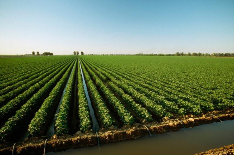 قىزىلوردا وبلىسىندا 15 مىڭ گەكتاردان استام ەگىستىك جەر قالپىنا كەلتىرىلدى