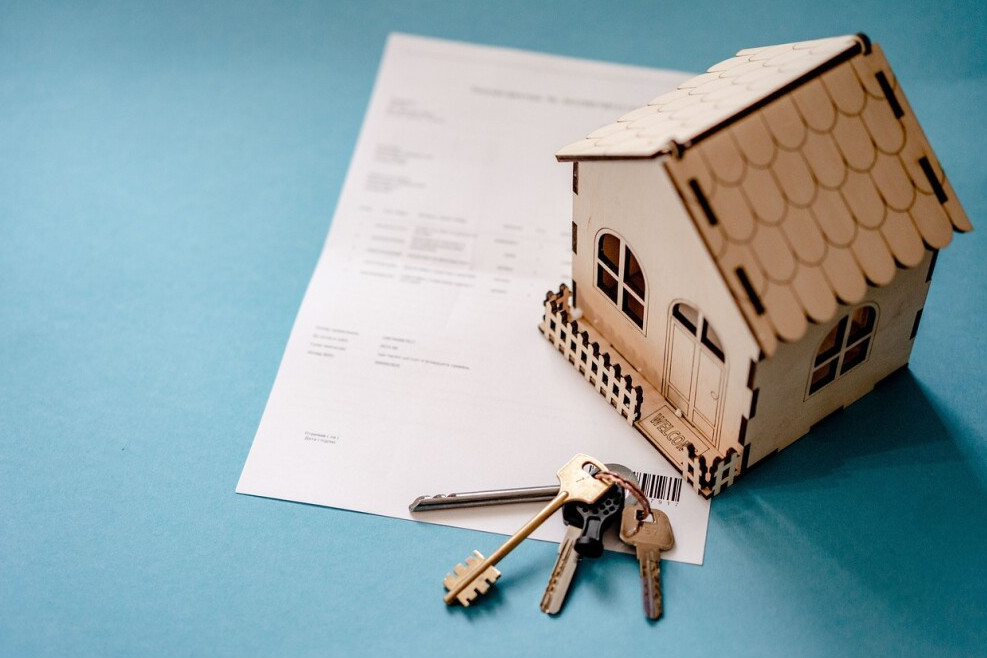 «ناۋرىز» – باسپاناعا جەتكىزەر سەنىمدى باعىت