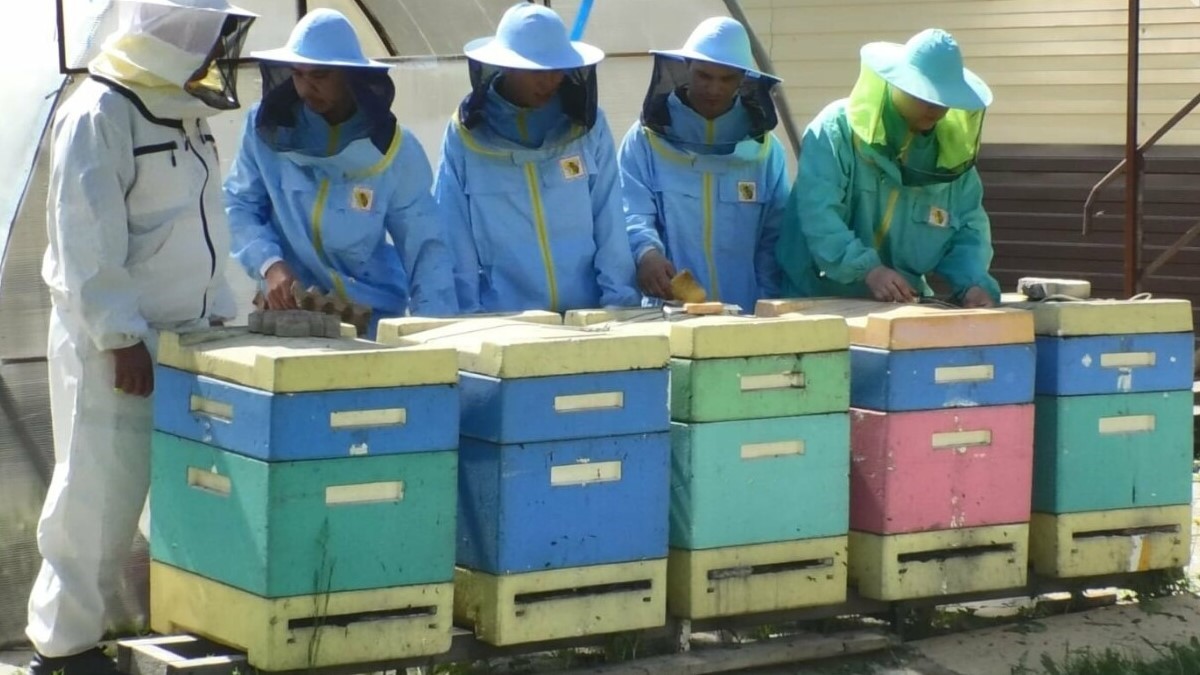 ومارتاشىلىق تا جاقسى كاسىپ