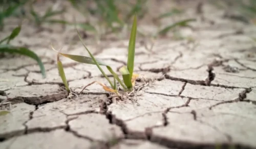 دەپۋتات تۇركىستان وبلىسىندا توتەنشە جاعداي  جاريالاۋدى ۇسىندى