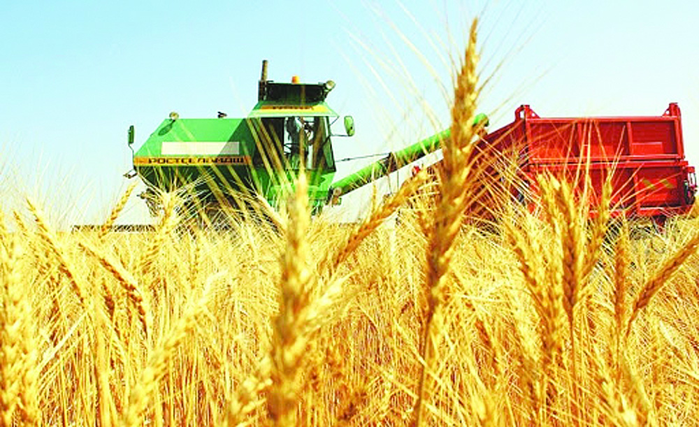 شارۋانىڭ كوڭىلى كۇپتى