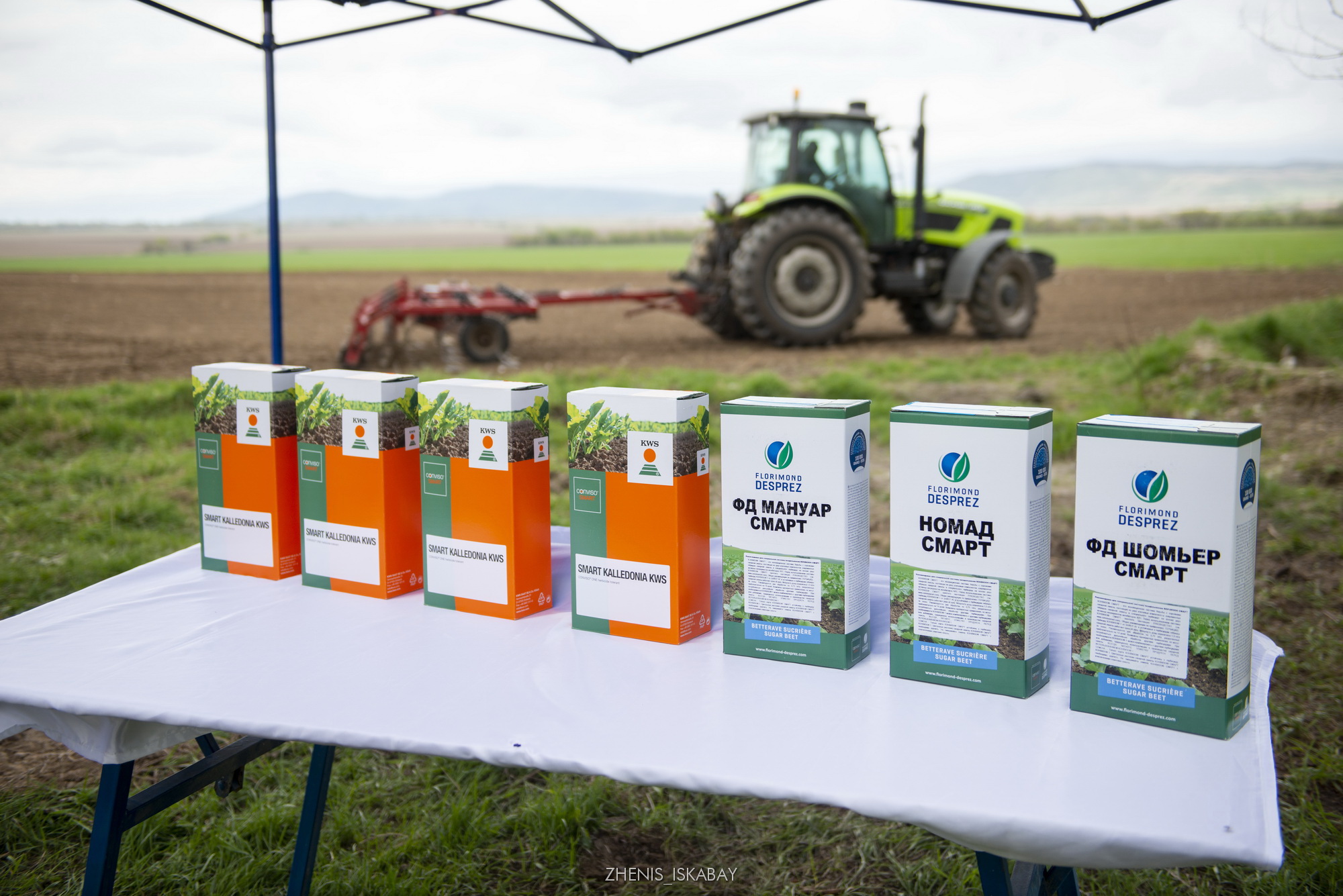 مايلى زىعىر وسىرەدى