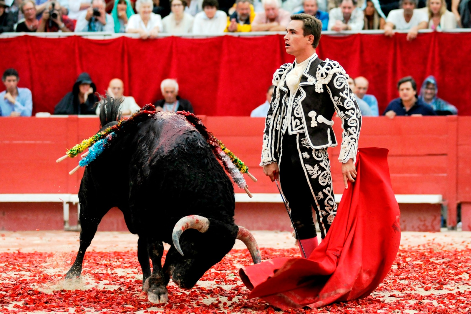 كورريدا شىندىعى