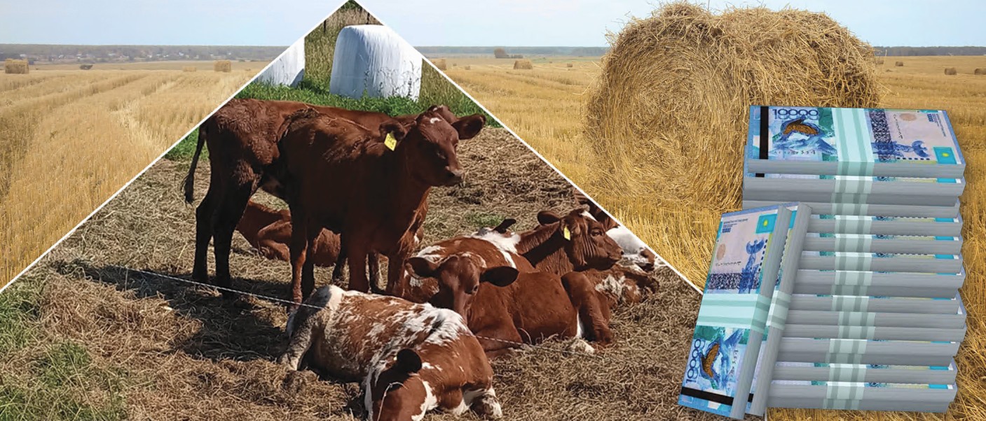 سۋبسيديا نەگە تالاپقا ساي ەمەس؟