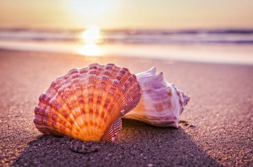 تەڭىز ءۇنى مە, جۇرەكتىڭ سىبىرى ما