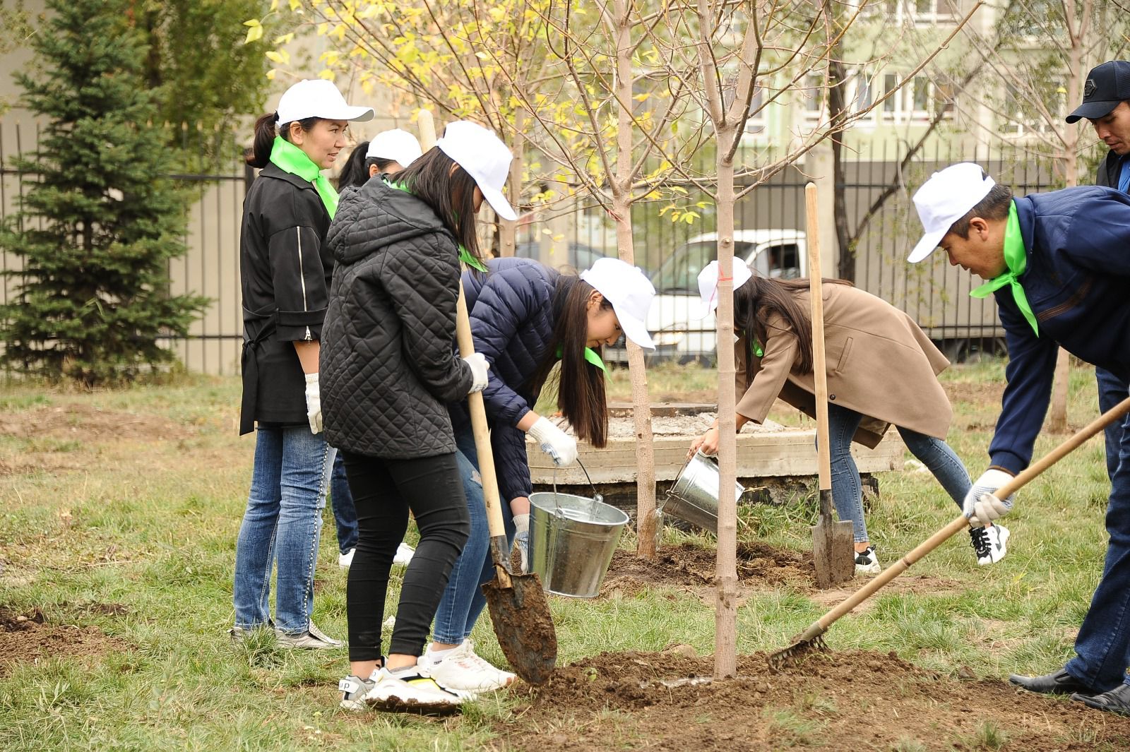«جاسىل ەل» جاساعىنا قالاي جۇمىسقا ورنالاسۋعا بولادى؟