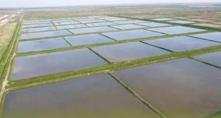 القاپتار تەگىستەلىپ, ارنالار جاڭارتىلدى