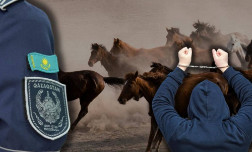 تۇركىستان وبلىسىندا مال ۇرىلارى ۇستالدى