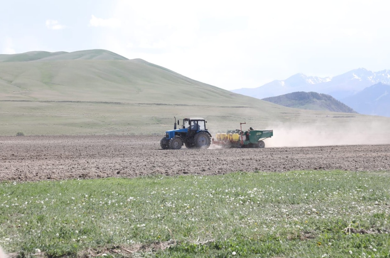 شەكارالىق اۋداننىڭ شارۋاسى شيراق