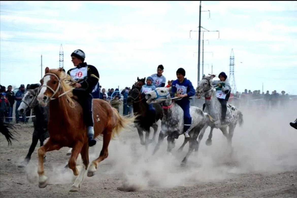 ەلوردادا ات سپورتىنان حالىقارالىق جارىس باستالادى
