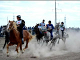 ەلوردادا ات سپورتىنان حالىقارالىق جارىس باستالادى