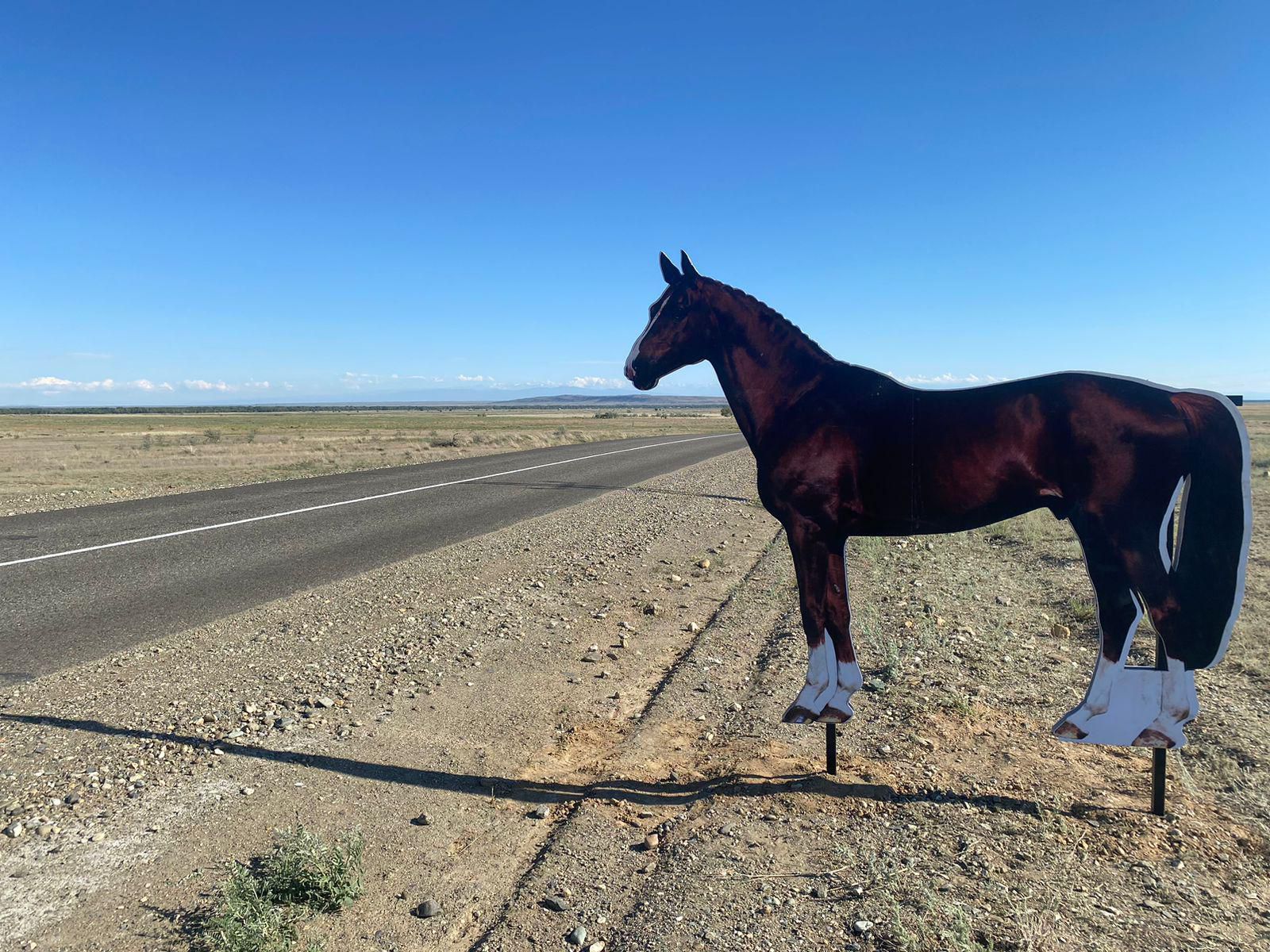 شقو-دا جولدارعا جانۋارلاردىڭ سۋرەتى قويىلدى