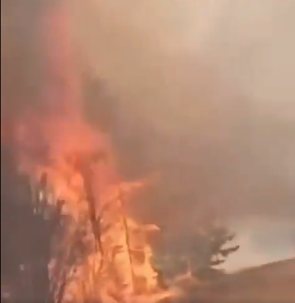 مانيتوبادا ورمان ورتىنە بايلانىستى توتەنشە جاعداي ەنگىزىلدى