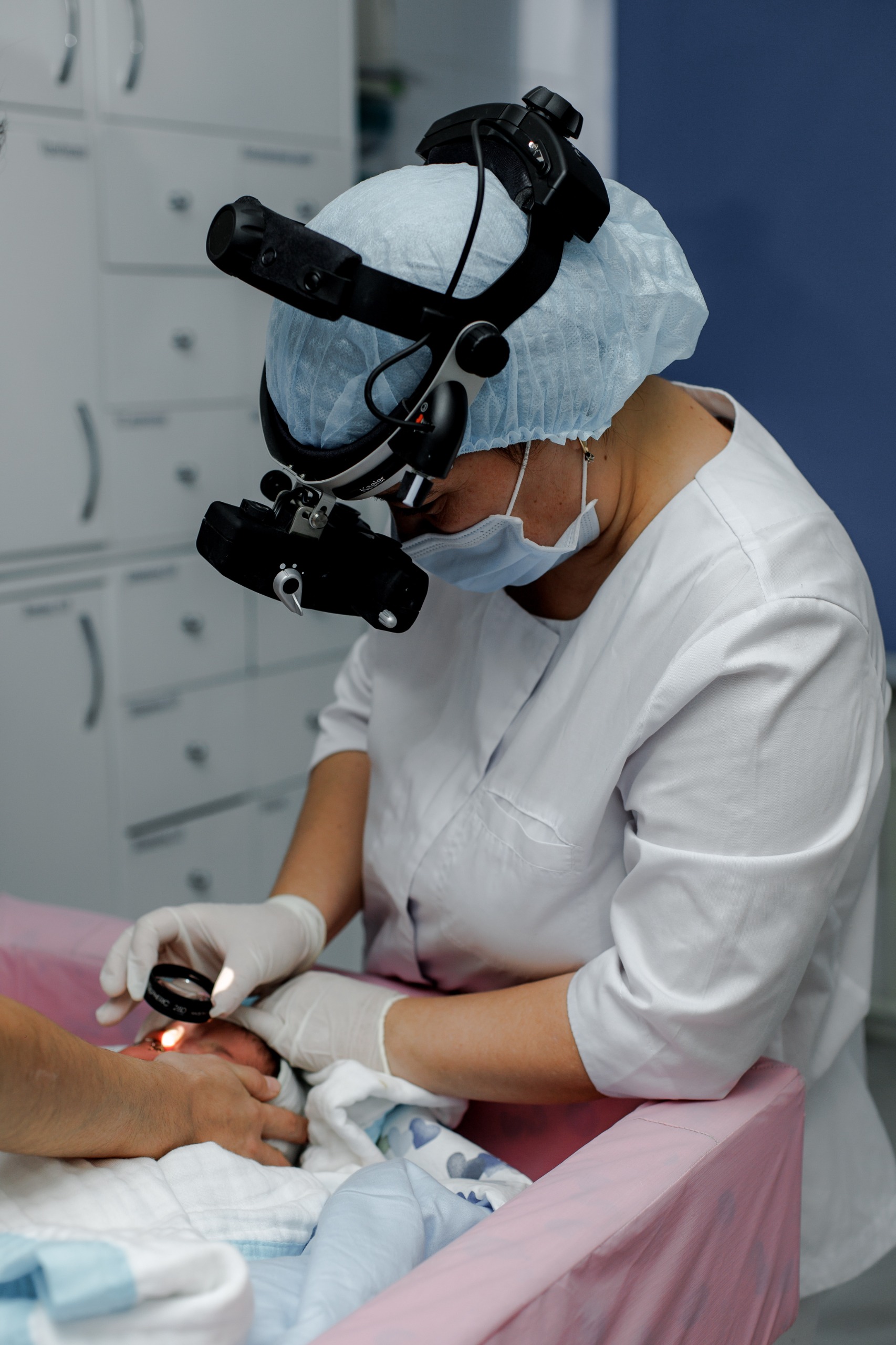 جارىققا ۇمتىلعان جانارلار