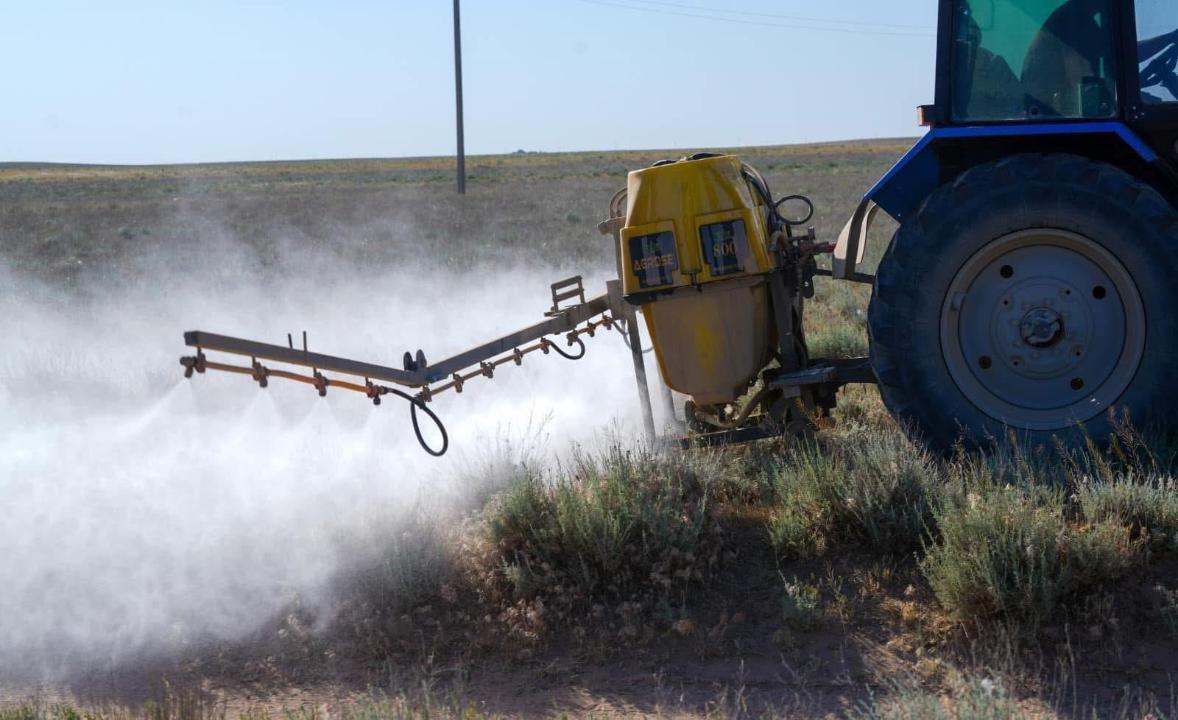 شەگىرتكەگە قارسى كۇرەس شارالارى 844 مىڭ گەكتار اۋماقتا جۇرگىزىلدى