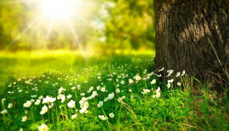 ماۋسىم ايىندا ەلىمىزدە اۋا رايى قانداي بولادى