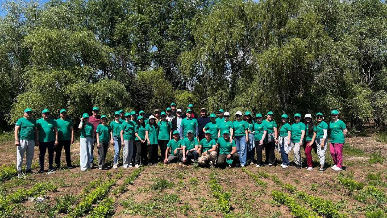 قاراسۋ وزەنىنىڭ جاعاسى تازارتىلدى