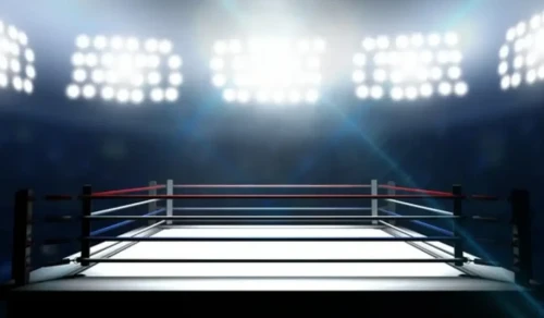 بوكستان الەم كۋبوگىنىڭ كەزەڭىنە 33 ەل تىركەلدى